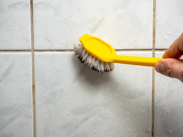 Best Mold Testing  in Bessemer, MI