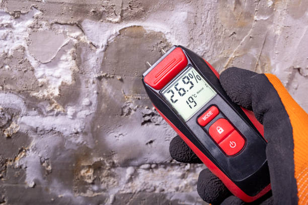 Best Fast Mold Removal  in Bessemer, MI