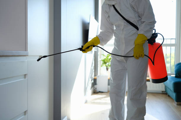 Best Attic Mold Removal  in Bessemer, MI