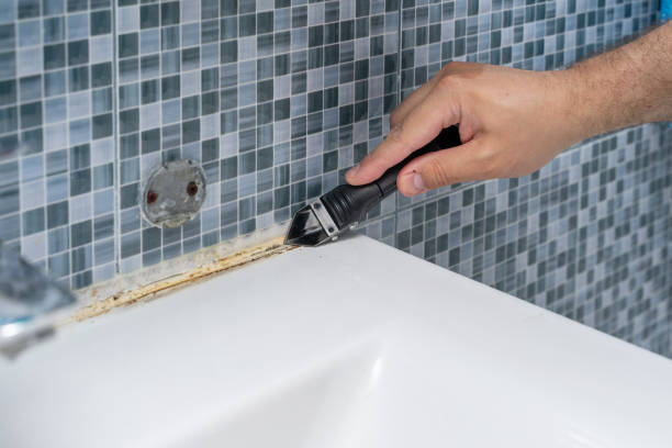 Best Mold Removal Near Me  in Bessemer, MI