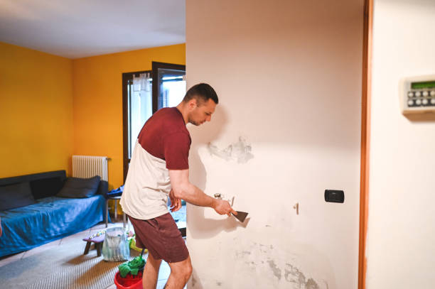 Best Home Mold Removal  in Bessemer, MI